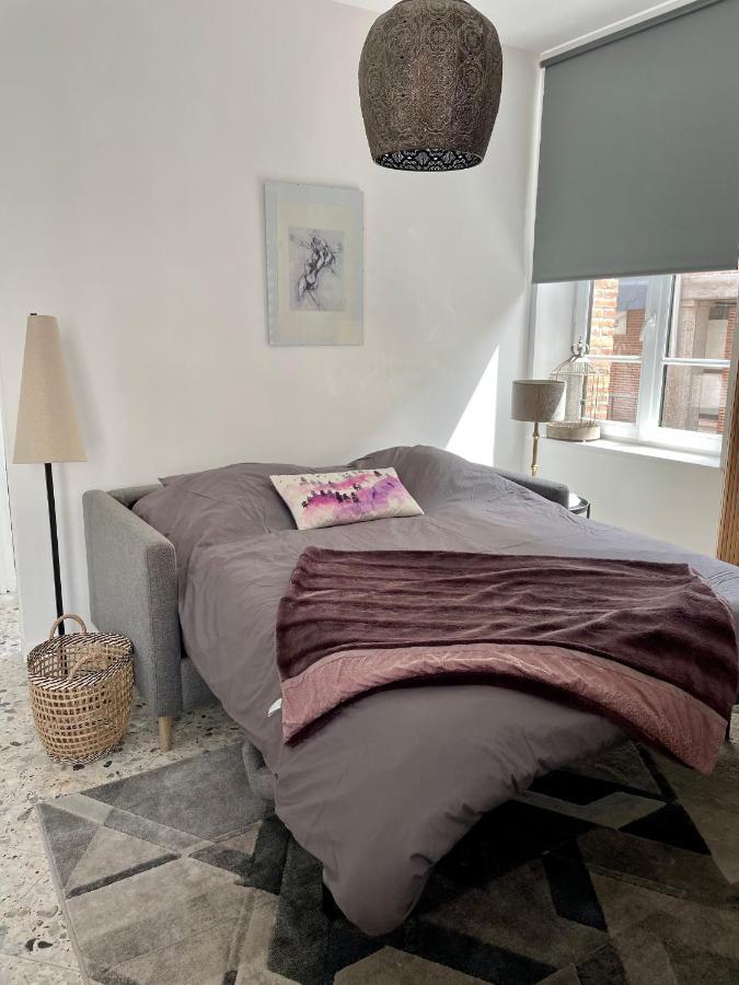 Le Terrazzo - Appartement Lumineux Centre Eu Eu (Seine-Maritime) Kültér fotó